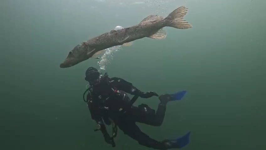 sovereign divers esac 0513 eastbourne scuba diving club